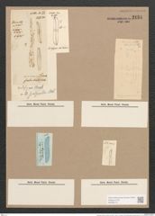 Pleurosigma eximium (Thwait.) (de-Toni-Nr.: Genus 13, Species 1097) Zeichnungen Sammlung Grunow Nr. 2134 (NHMW-BOT-W0369172)